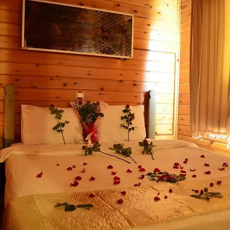 Отель Lifeport 4*