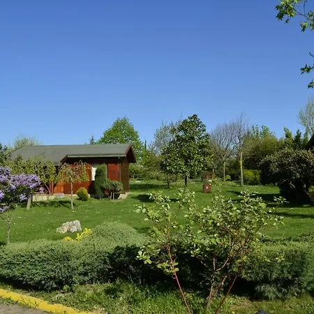 Lifeport Стамбул